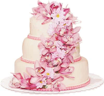 Snug Harbor Wedding Cake