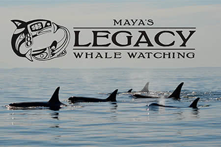 Maya's Legacy Whale Watch